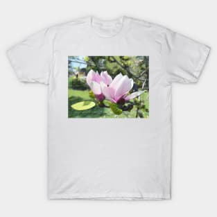 Two Magnolia in Bloom T-Shirt